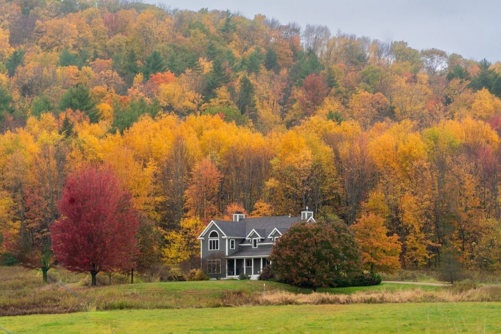 vermont, mountain, foliage