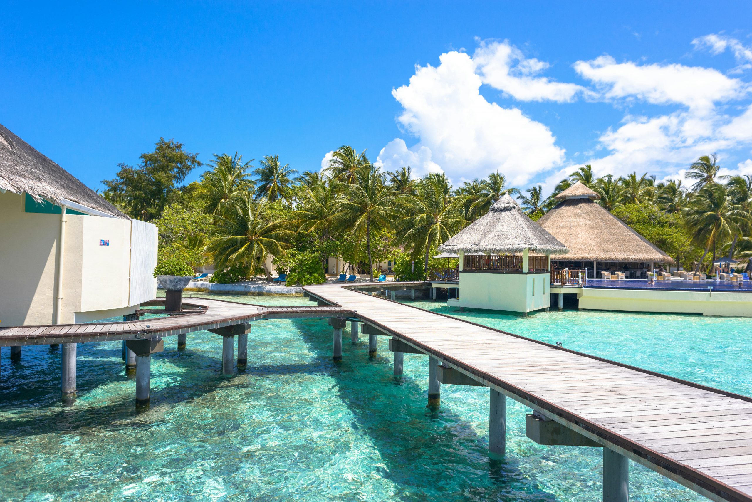 Landscape Photography of Beach Resort