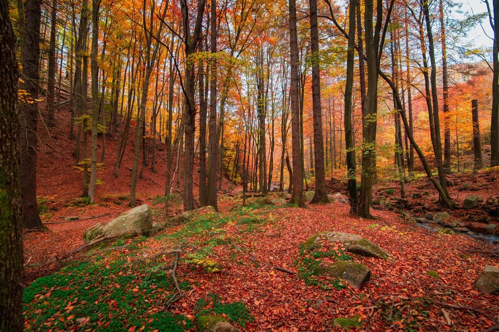 Fall Adventure and Outdoor Travel