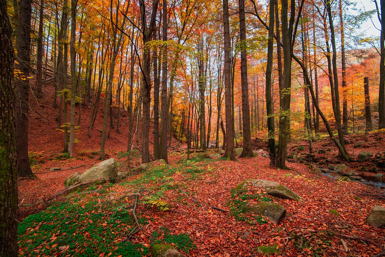 Fall Adventure and Outdoor Travel