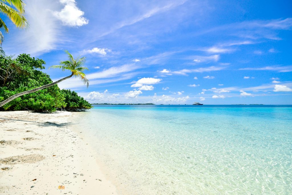 Best Travel Deals on Trip.com